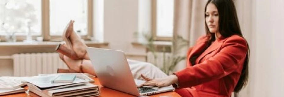 web-developer-net-developer-software-engineer