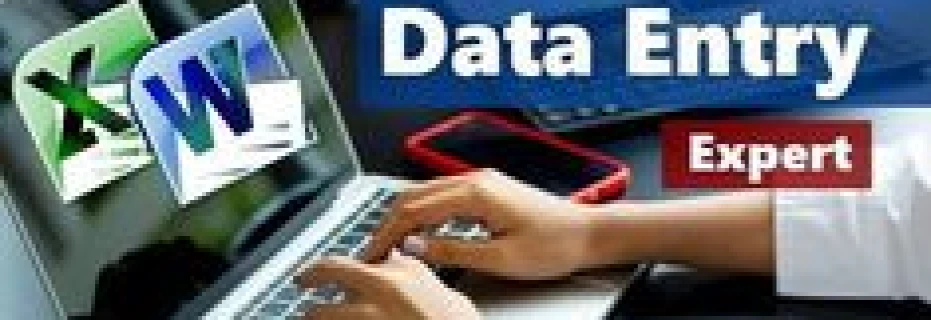 i-can-provide-best-data-entry-services
