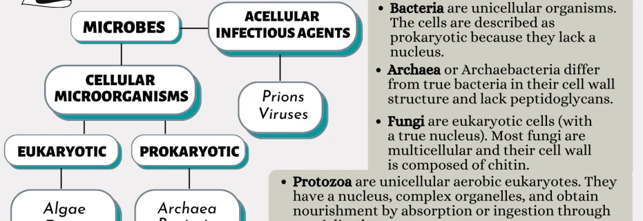 i-can-post-accurate-data-with-excellent-dedication-to-being-detail-oriented