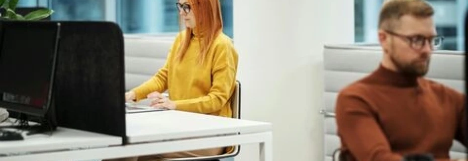 customer-support-executive