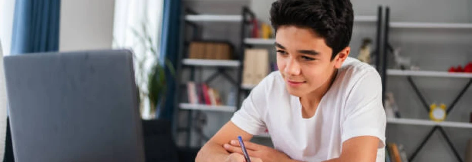 translator-essay-writer-freelance-singer-proofreader-lets-help-each-other-out