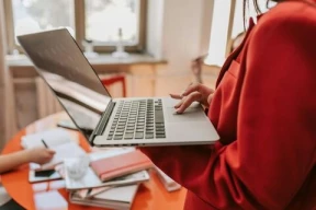 i-can-do-100-data-entrys-per-day-for-each-entry-10rs-713619