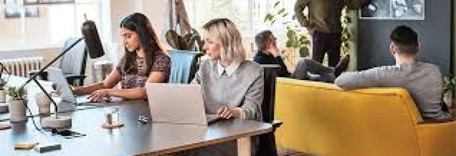 data-enry-project-in-short-time-spent-and-very-quickly-584775