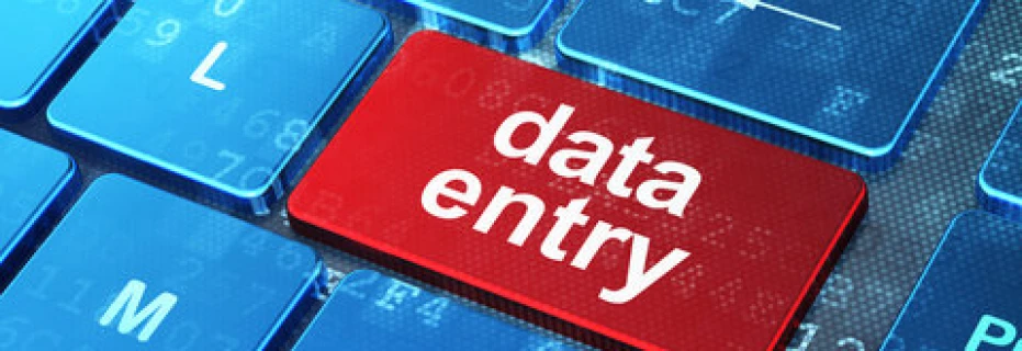 data-entry-form-filling-954430