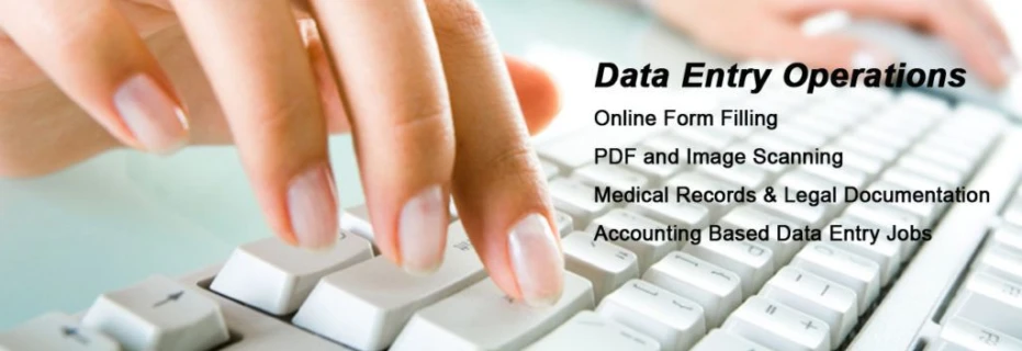 i-am-a-data-entry-operator-and-i-need-to-job