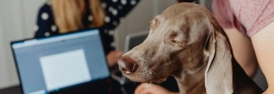 i-can-do-my-work-in-a-good-manner-without-any-mistake-and-in-on-time-i-can-help-you-out-for-getting-reach-to-the-public-through-online-websites-im-data-entry-operator-and-i-need-this-job-online